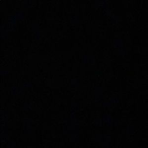 Meet your Posher, Brynn